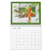Hummingvögel Kalender (Jan 2027)