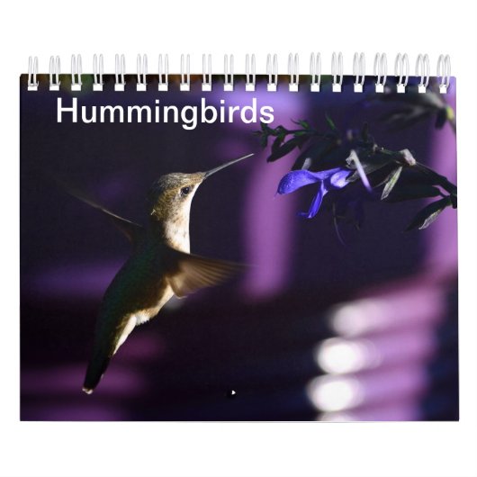 Hummingvogel Kalender (Titelbild)