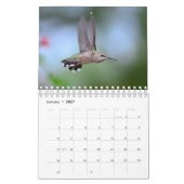 Hummingvogel Kalender (Jan 2027)