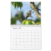 Hummingvogel Kalender (Feb 2027)