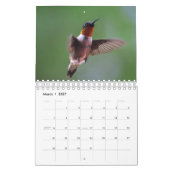Hummingvogel Kalender (Mär 2027)