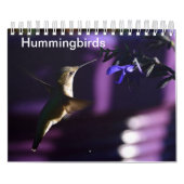 Hummingvogel Kalender (Titelbild)