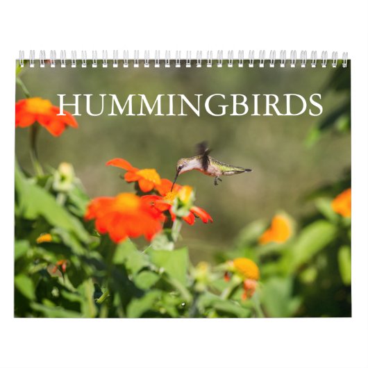 Hummingvögel Kalender (Titelbild)