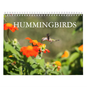 Hummingvögel Kalender