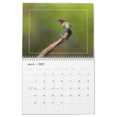 Hummingvögel Kalender (Mär 2027)