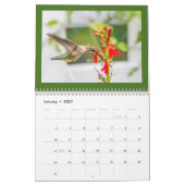 Hummingvögel Kalender (Jan 2027)