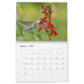Hummingvögel Kalender (Feb 2027)