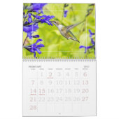 Hummingvögel Kalender (Feb 2027)