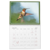 Hummingvögel Kalender (Jan 2027)
