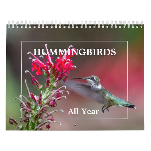 Hummingvögel Kalender (Titelbild)