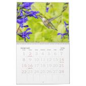 Hummingvögel Kalender (Feb 2026)