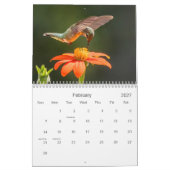Hummingvögel Kalender (Feb 2027)