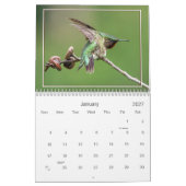 Hummingvögel Kalender (Jan 2027)