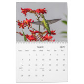 Hummingvögel Kalender (Mär 2027)