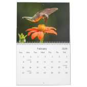 Hummingvögel Kalender (Feb 2026)