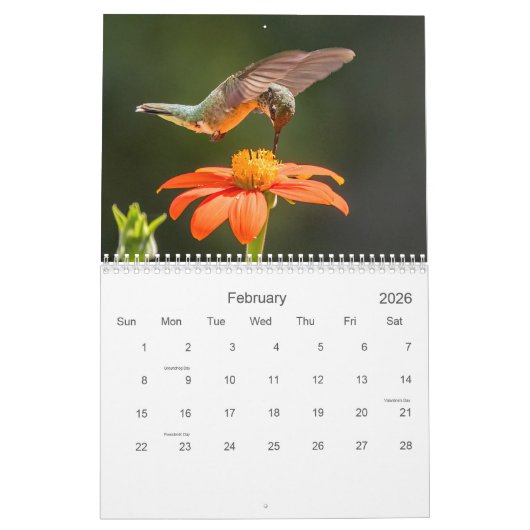 Hummingvögel Kalender (Feb 2026)