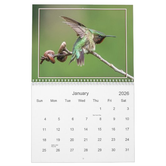 Hummingvögel Kalender (Jan 2026)