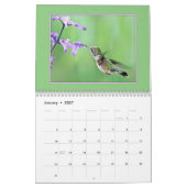 Hummingvögel Kalender (Jan 2027)