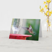 Hummingvogel Karte (Gelbe Blume)