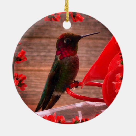 Hummingvogel Keramik Ornament (Hinten)