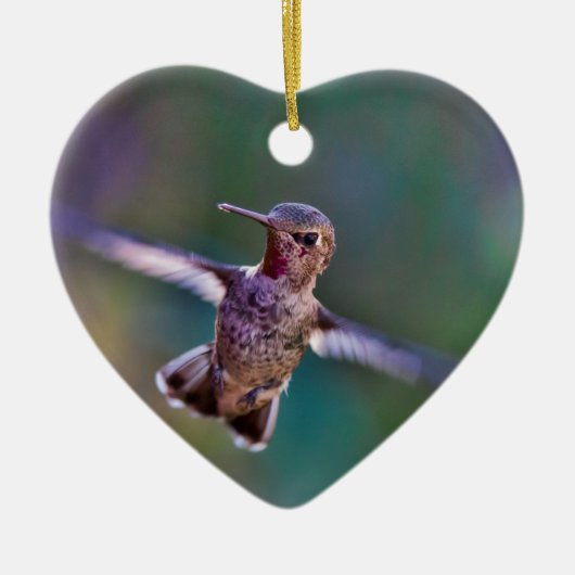 Hummingvogel Keramik Ornament (Vorne)