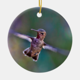 Hummingvogel Keramikornament