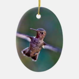 Hummingvogel Keramikornament