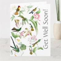 Hummingvögel kommen bald von der Big Card aus alle