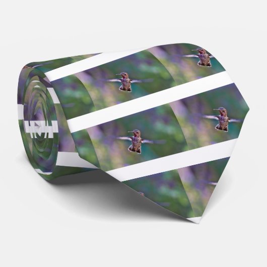 Hummingvogel Krawatte (Gerollt)