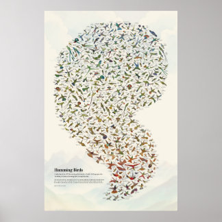 Hummingvögel - leicht poster