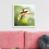 Hummingvogel Leinwanddruck (Insitu (Wohnzimmer))