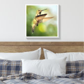 Hummingvogel Leinwanddruck (Insitu (Schlafzimmer))