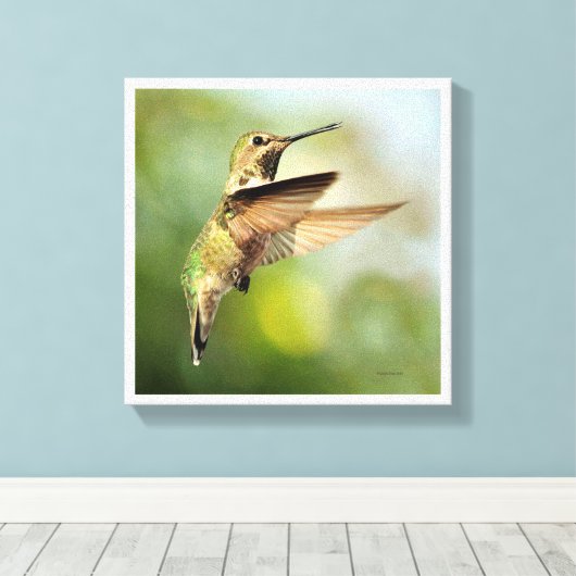 Hummingvogel Leinwanddruck (Insitu (Holzboden))