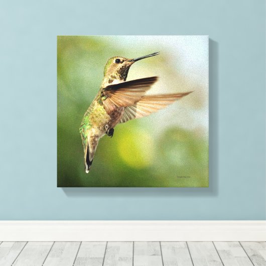 Hummingvogel Leinwanddruck (Insitu (Holzboden))