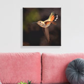 Hummingvogel Leinwanddruck (Insitu (Wohnzimmer))