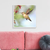 Hummingvogel Leinwanddruck (Insitu (Wohnzimmer))