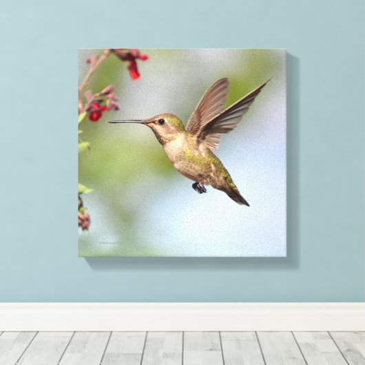 Hummingvogel Leinwanddruck (Insitu (Holzboden))