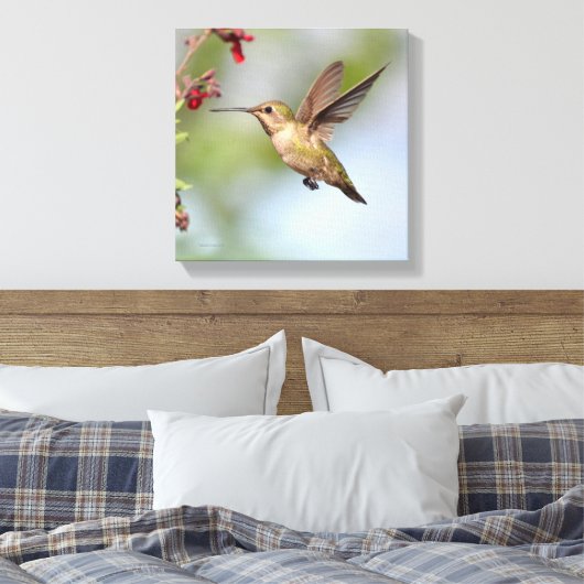 Hummingvogel Leinwanddruck (Insitu (Schlafzimmer))