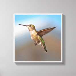 Hummingvogel Leinwanddruck