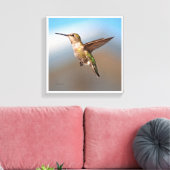 Hummingvogel Leinwanddruck (Insitu (Wohnzimmer))