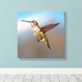 Hummingvogel Leinwanddruck (Insitu (Holzboden))