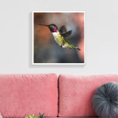 Hummingvogel Leinwanddruck (Insitu (Wohnzimmer))