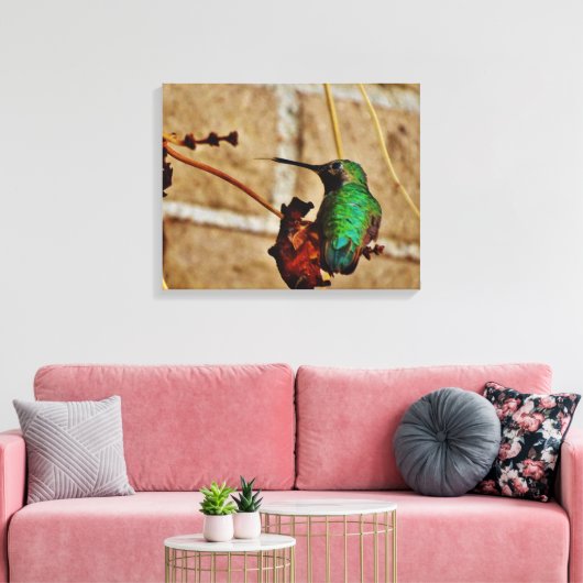 Hummingvogel Leinwanddruck (Insitu (Wohnzimmer))