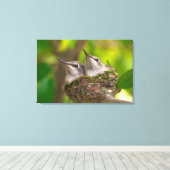 Hummingvögel Leinwanddruck (Insitu (Holzboden))