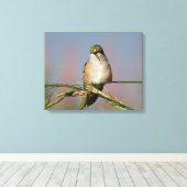Hummingvogel Leinwanddruck (Insitu (Holzboden))