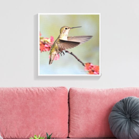 Hummingvogel Leinwanddruck (Insitu (Wohnzimmer))