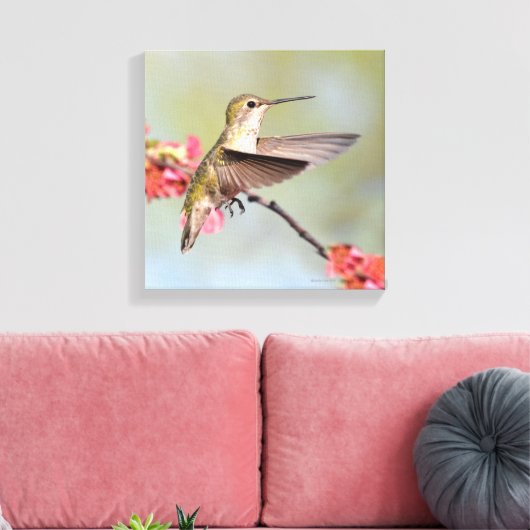 Hummingvogel Leinwanddruck (Insitu (Wohnzimmer))