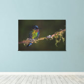 Hummingvogel Leinwanddruck (Insitu (Holzboden))