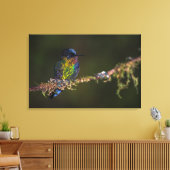 Hummingvogel Leinwanddruck (Insitu (Wohnzimmer))