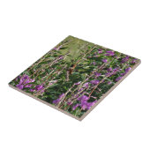 Hummingvogel Lila Fliese (Seite)